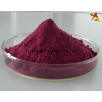 Natural 25% Anthocyanidin Elderberry Extract